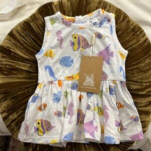 Darling bnwt AngelDear tropical reef fish.